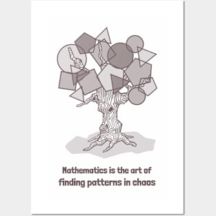 Mathematics is the art of finding patterns in chaos Posters and Art